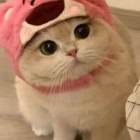 一起玩傳說꒰͒˶˙˘˙˶꒱ིྀ⸝*