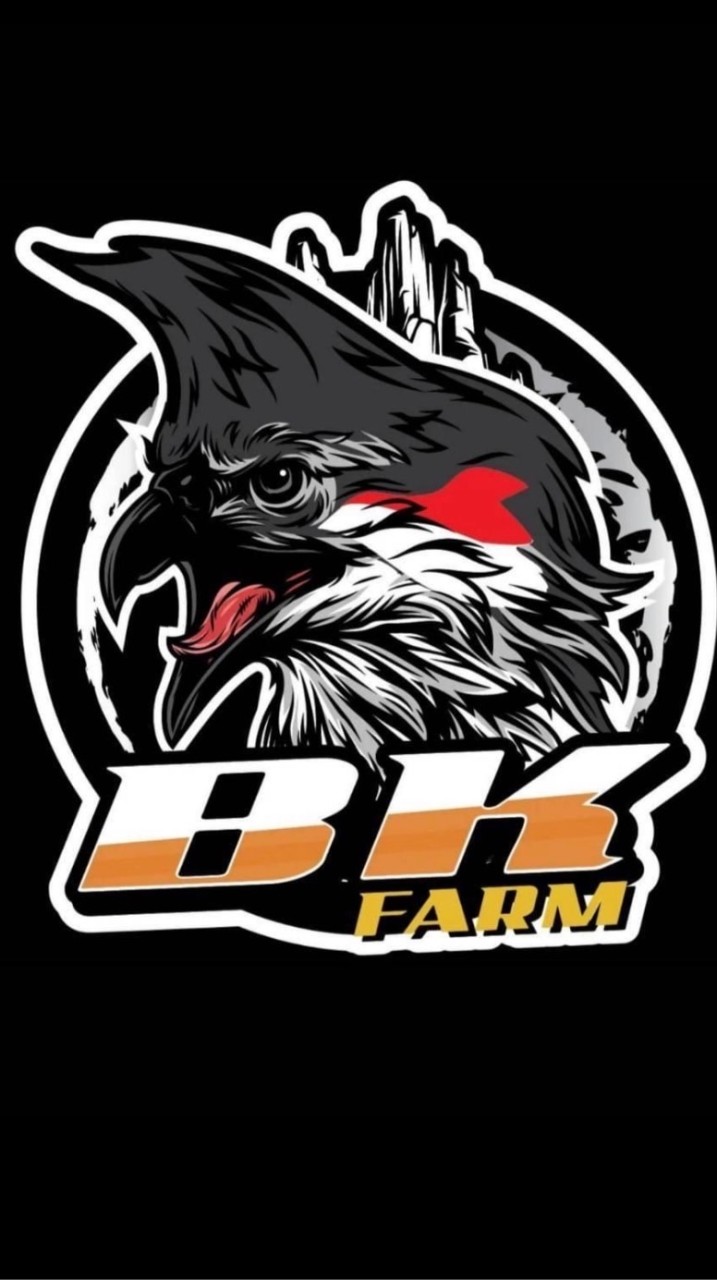 BKFARMนกกรงหัวจุกแฟนซี