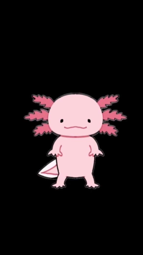 うさちゃん