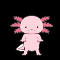 うさちゃん