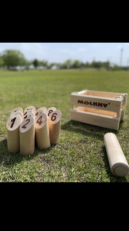 【ゆるモル】TOYAMA