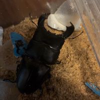 動物好き集まれ！、みんなで楽しもう！