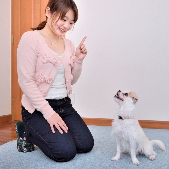 そもそも犬はなぜ吠えるのか 理由がわかると対処法も