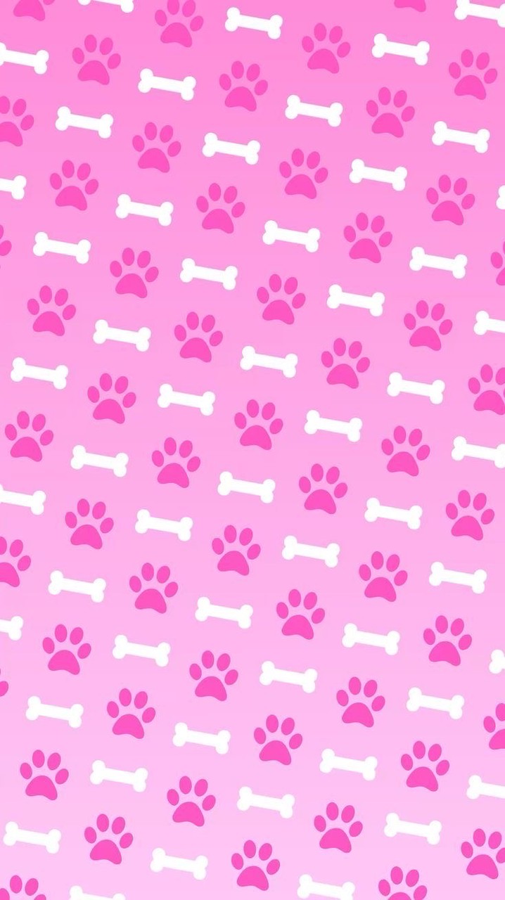 🌟獸裝/委託/毛毛愛好者交流區