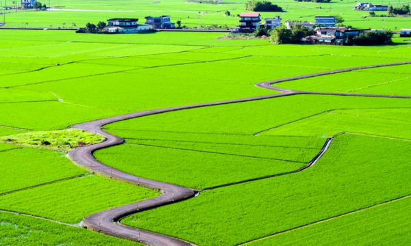 宜蘭景點總整理懶人包必去打卡旅遊住宿三星東澳頭城礁溪