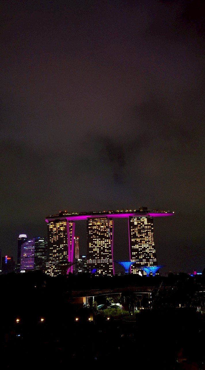 Singanova 新加坡馬來西亞代購