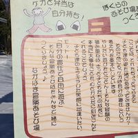 ながはま冒険遊び場オープンLINEチャット
