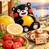 八代に住んでるひとぉ～‪ﾍ(￣-￣ )かもぉん♪