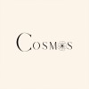 Cosmos🌼花仙子們