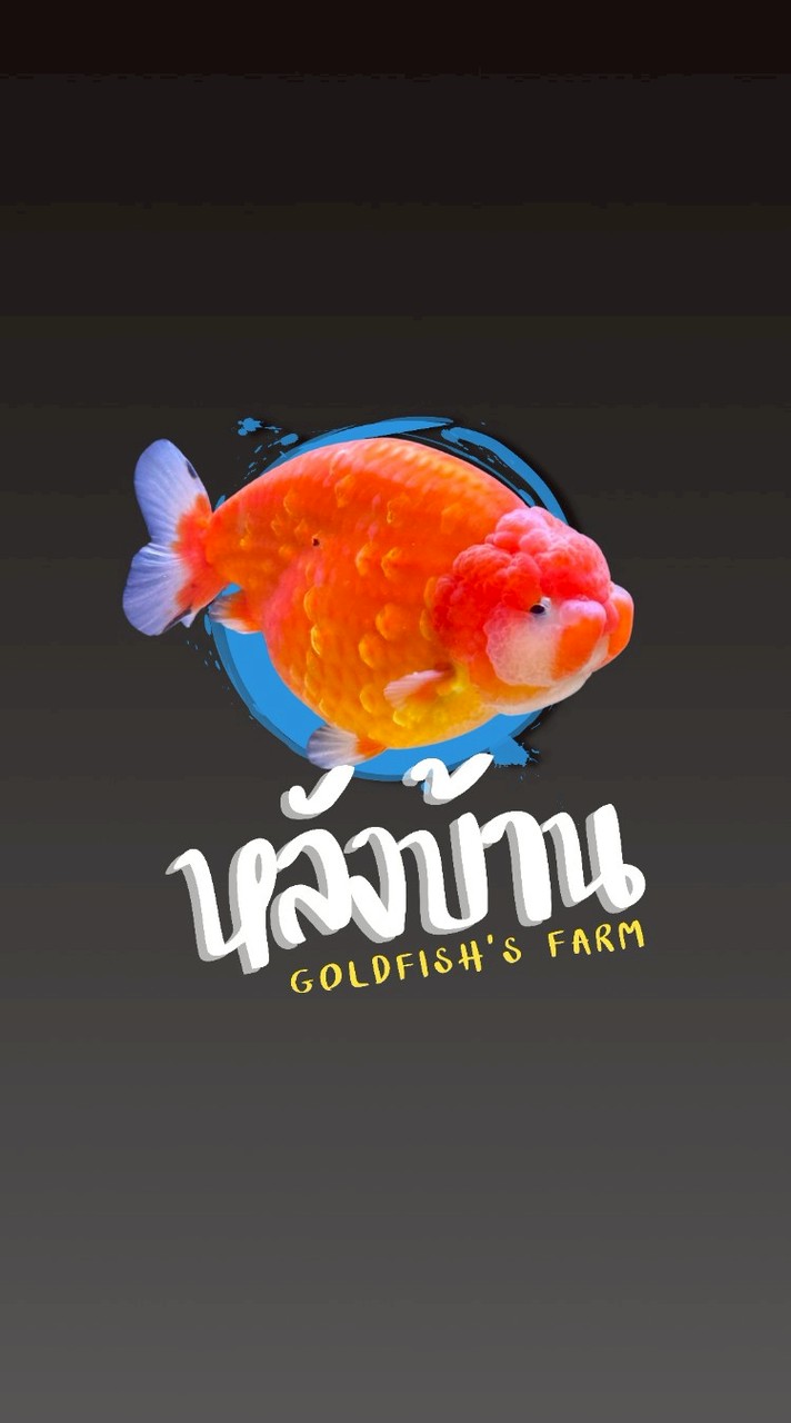 หลังบ้าน ปลาทอง ฟาร์ม