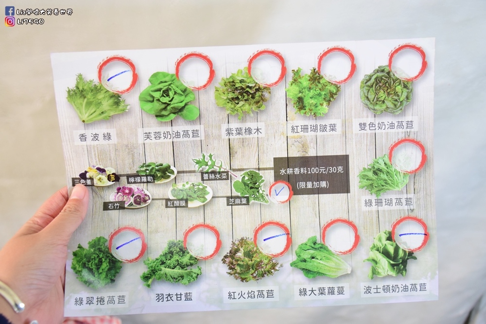 水耕蔬菜_營養師輕食DSC_0017Liz開懷大笑看世界.JPG