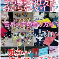 オタクに整理は難しい