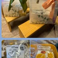 就是要任性 文鳳monica