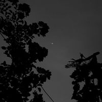 寫作小天地