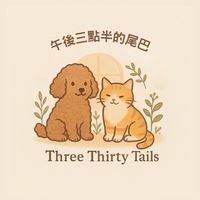 午後三點半的尾巴
