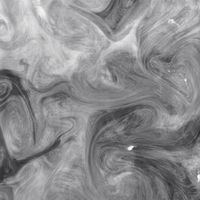 K也
