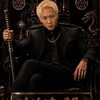 🆕 🦅不死鳥の騎士団🦅