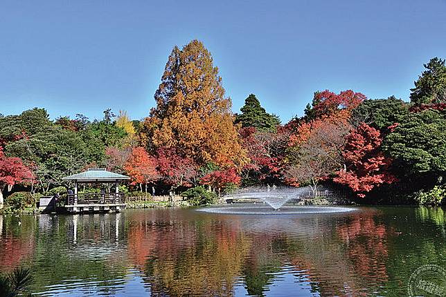 富山必訪紅葉絕景5選 旅遊經 Line Today