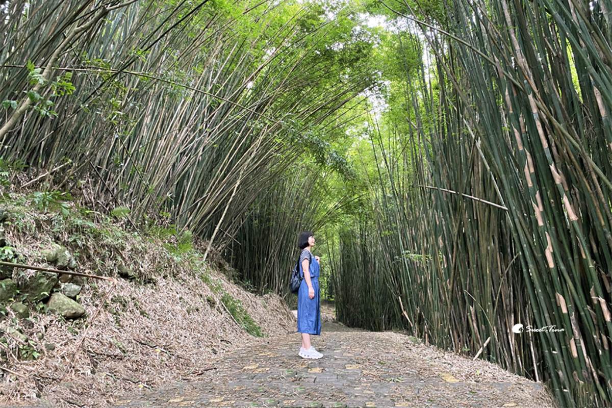 最快５分鐘輕鬆攻頂！新北９條懶人步道：台版「奧入瀨溪流」、絕美陰陽海