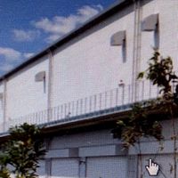 YACHIYOの皆（カイ）