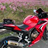 バイク乗り🏍集まれ♪全国版