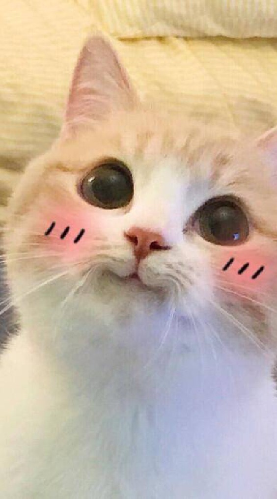 是蓉蓉呀！