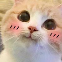 是蓉蓉呀！