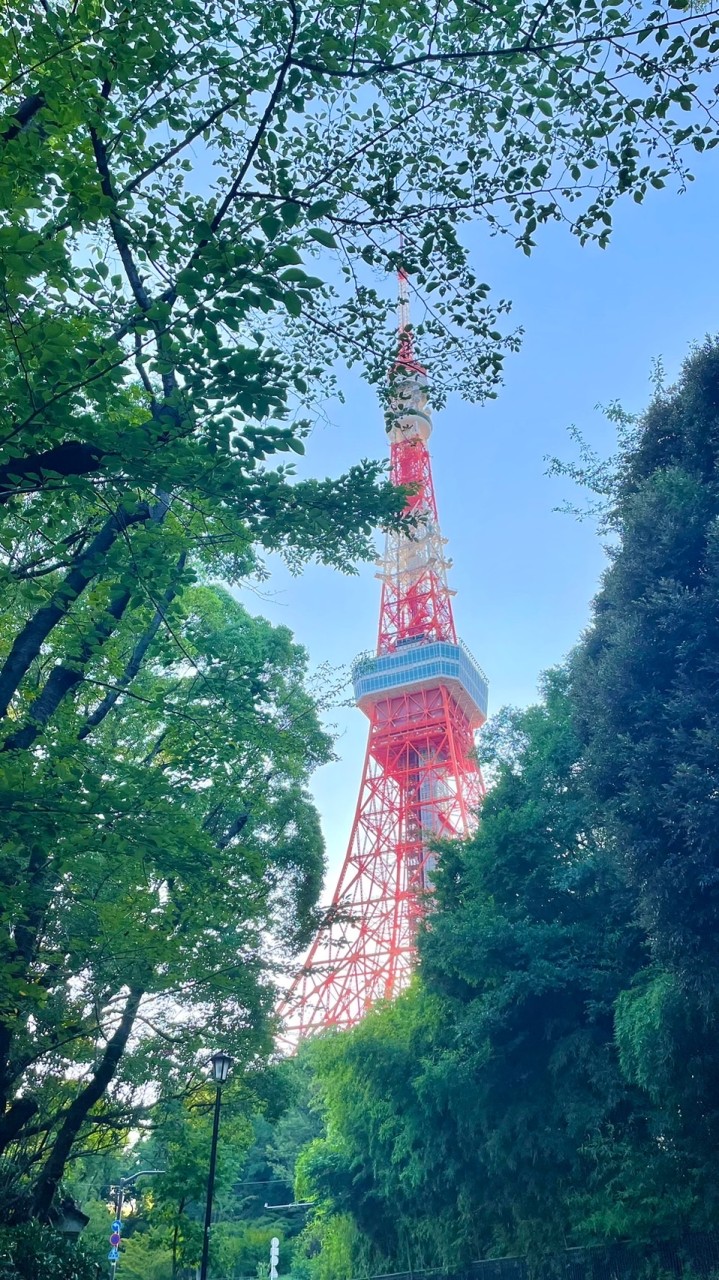 9/11-15日本代購