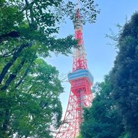 9/11-15日本代購