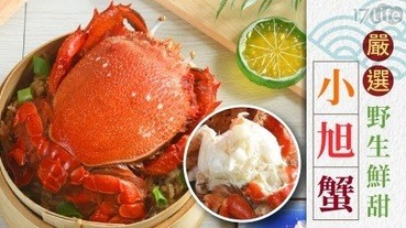 第一次挑螃蟹就上手！螃蟹怎麼挑、螃蟹吃法懶人包　不是老饕也能快速get