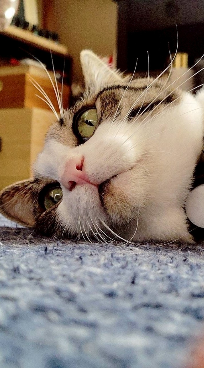 HoroServer　Season 7