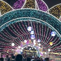 自社群2  高 115 上