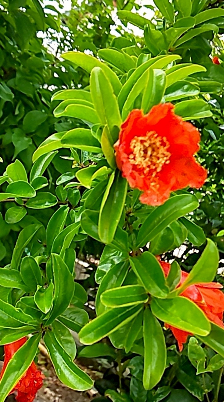 福祉ニュースの掲示板