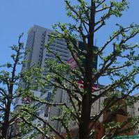 上大岡トーク