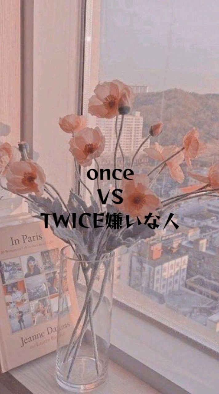 TWICE嫌いな人とonceの喧嘩場【本家】