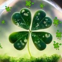 🍀