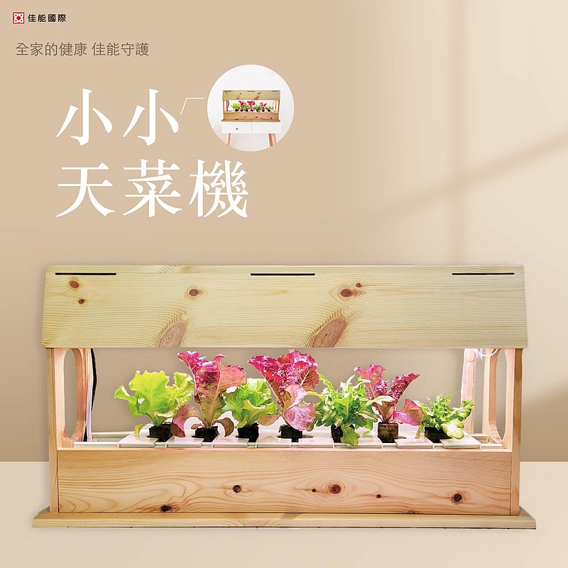 小小天菜機 水耕蔬菜 在家種菜