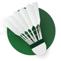 ABCT-Badminton