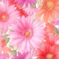 40代 50代の女子会部屋🌸 岡山倉敷福山🌸