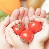 【無料】食べて体感♡2DAY食改善体験