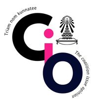 CIO   [ดิ คอลิชั่น อิชชู่ ออฟพิเนี่ยน]