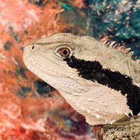 JL Dragon