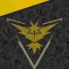 Pokemon go 寶可夢 黃隊專屬