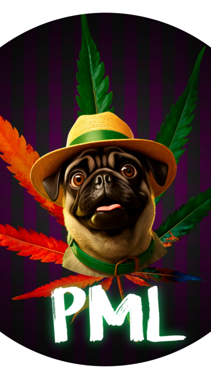 PML : Pugmarley [ FC Mobile ]