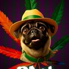 PML : Pugmarley [ FC Mobile ]