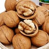 新疆纸皮核桃大陆干货坚果零食禮品