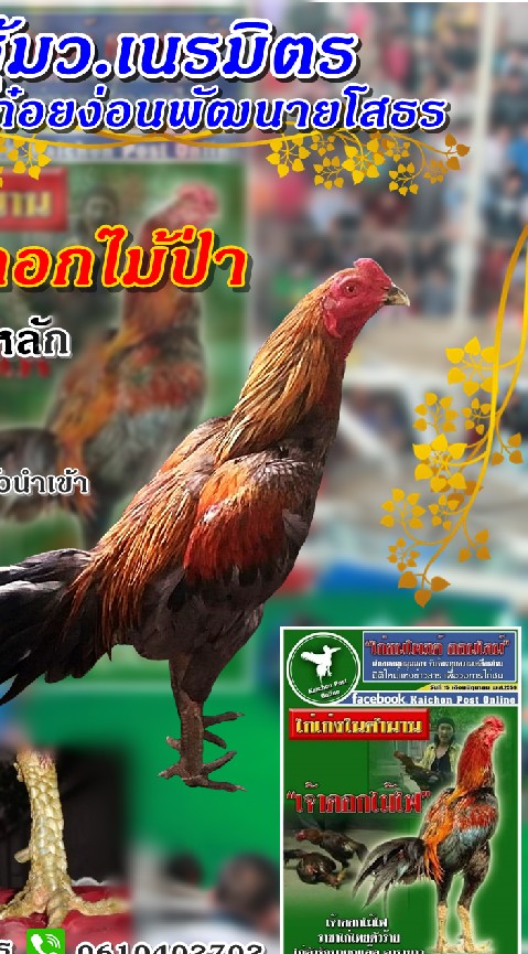 ซุ้ม.ว.เนรมิตร