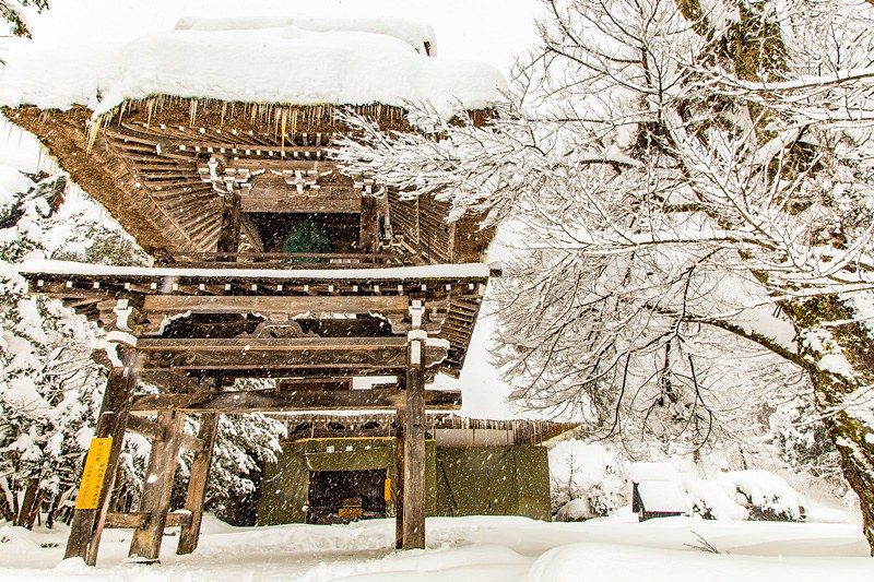 20160120-20160120-IMG_9690