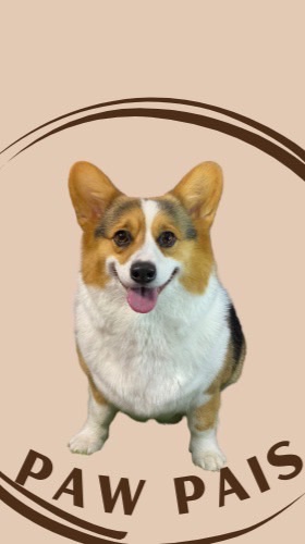 毛孩零食補給站