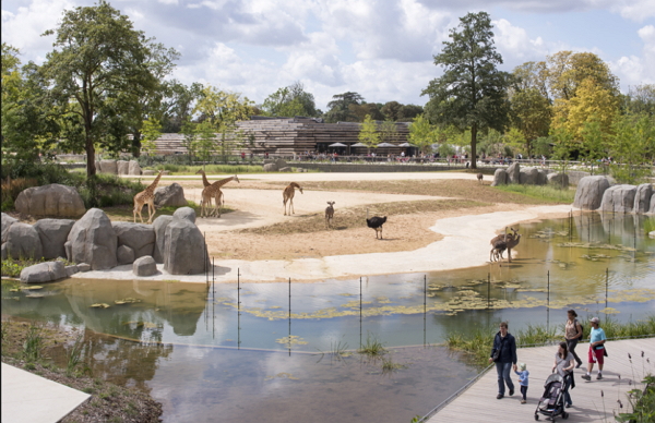 抓猴啦！巴黎動物園發生52隻狒狒集體「越獄」事件，近百名人力集結決戰猩球